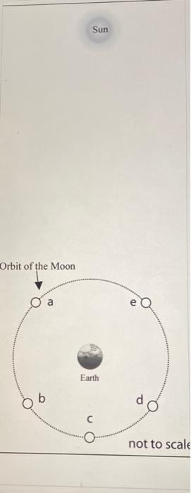 Solved which moon position shown best corresponds with the | Chegg.com