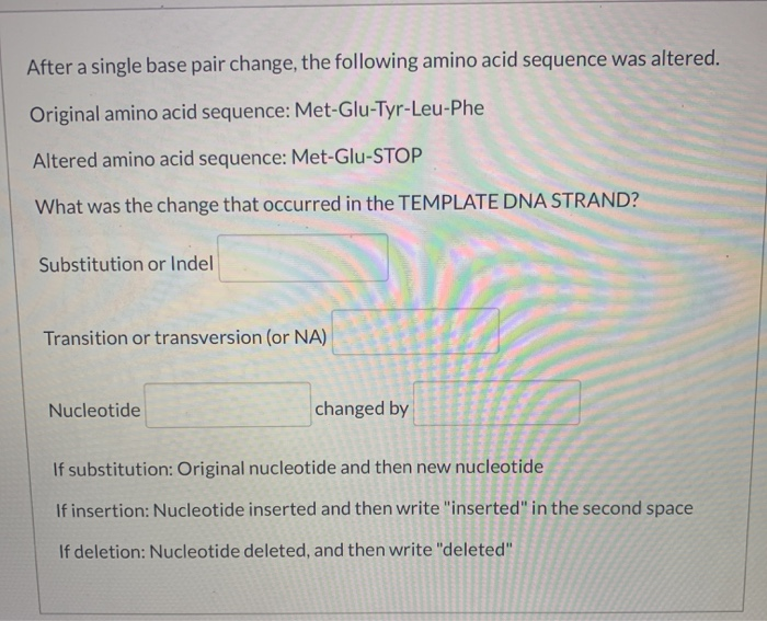 Solved After a single base pair change, the following amino | Chegg.com