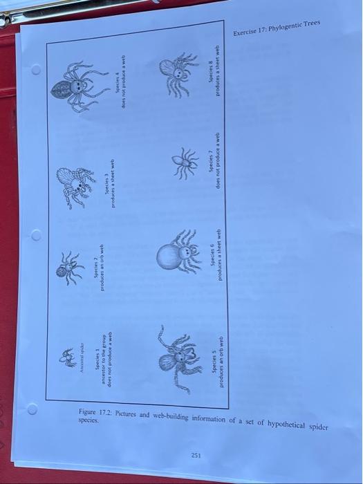 Solved 251 species. Figure 17.2: Pictures and web-building | Chegg.com