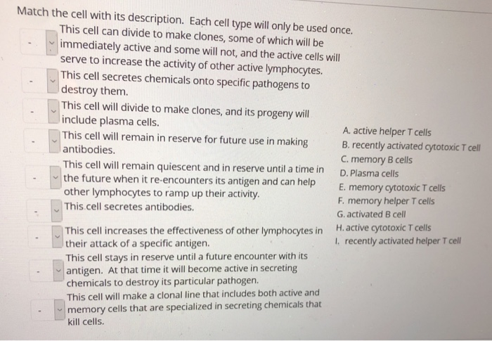 Solved Match the cell with its description. Each cell type | Chegg.com