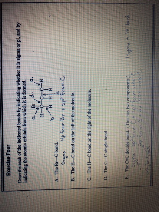 Solved Exercise Four Describe Each Of The Indicated Bonds By | Chegg.com