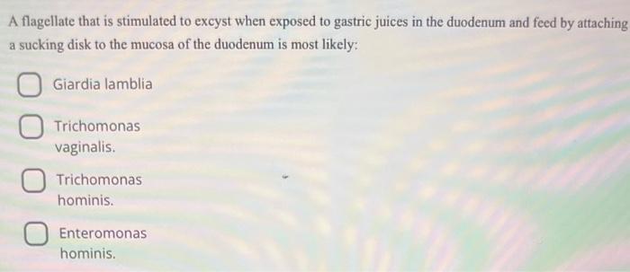 Solved A flagellate that is stimulated to excyst when | Chegg.com