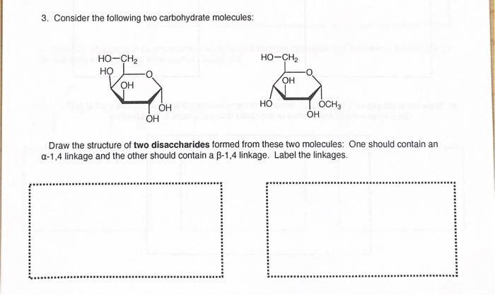 Solved 3. Consider the following two carbohydrate molecules: | Chegg.com