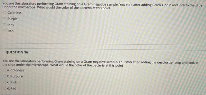 Solved You are the laboratory performing Gram staining on a | Chegg.com