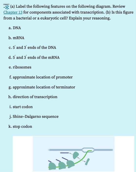 Solved CONNECT (a) Label the following features on the | Chegg.com