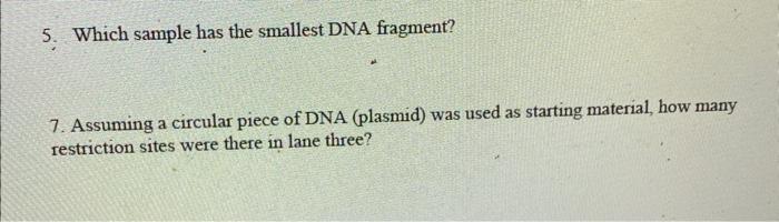 5. Which sample has the smallest DNA fragment?
7. Assuming a circular piece of DNA (plasmid) was used as starting material, h