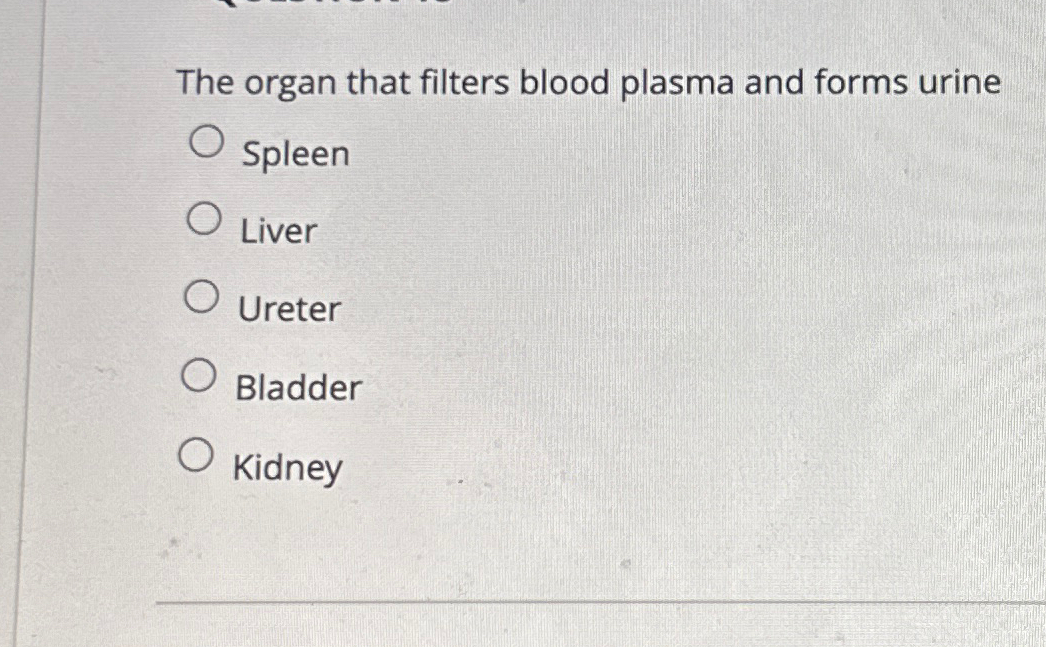 Solved The organ that filters blood plasma and forms