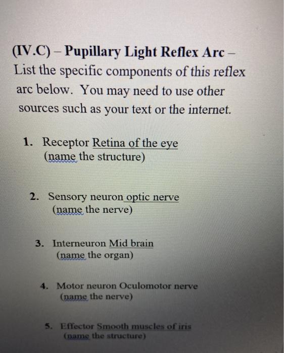 Solved (IV.C) - Pupillary Light Reflex Arc – List the | Chegg.com