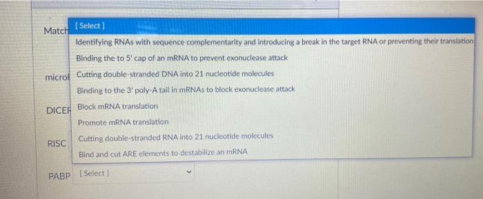 Solved Match The Molecule With Its Function: MicroRNA | Chegg.com