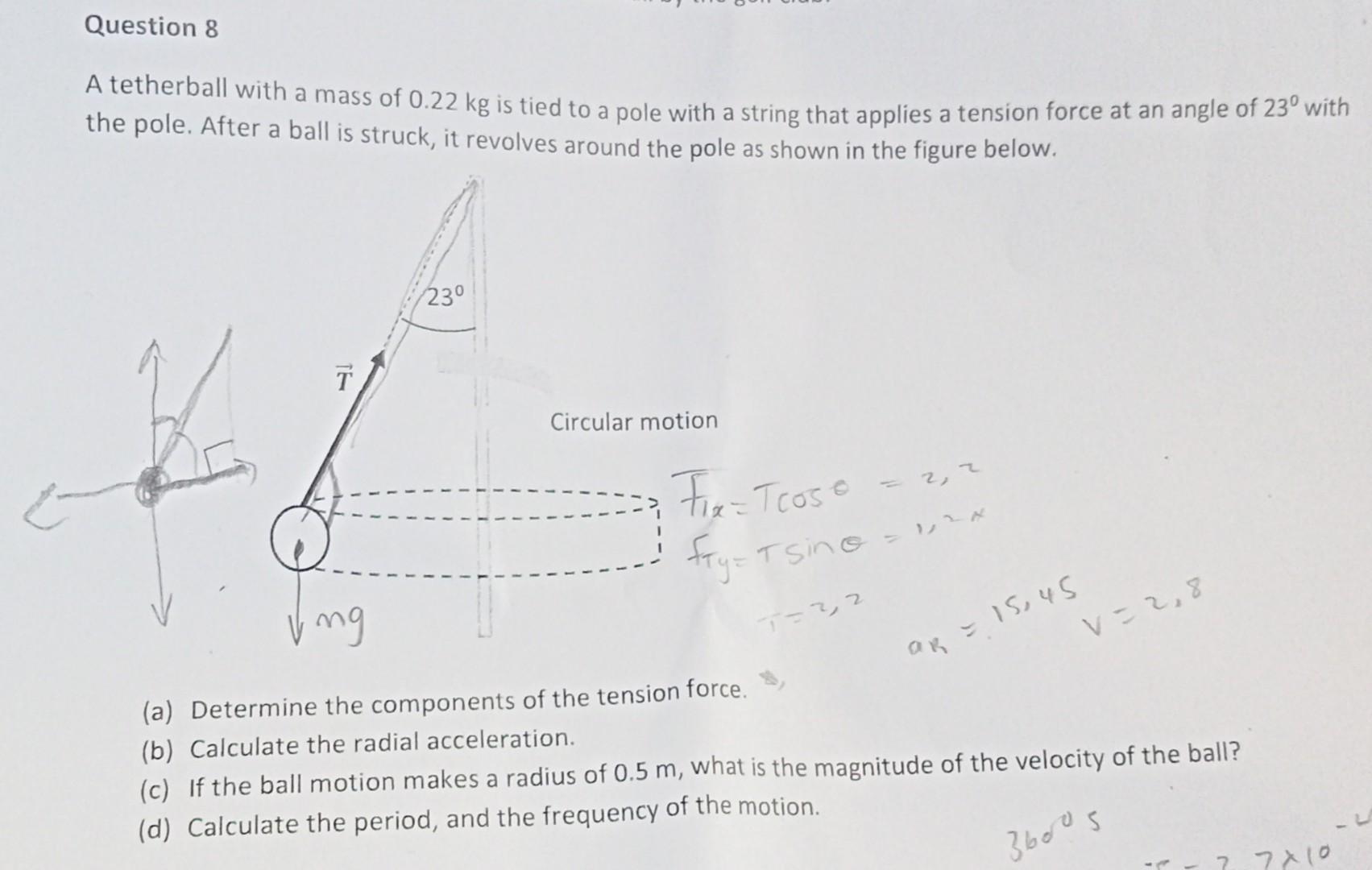 Solved A tetherball with a mass of 0.22 kg is tied to a pole