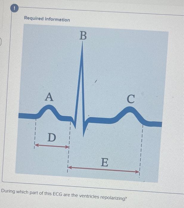 Solved Required information During which part of this ECG | Chegg.com