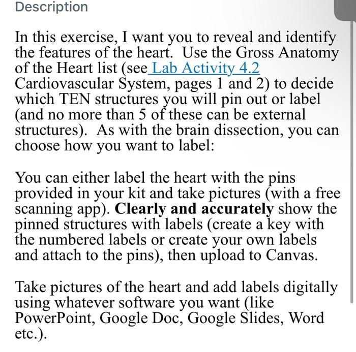 Solved Description In this exercise I want you to reveal Chegg