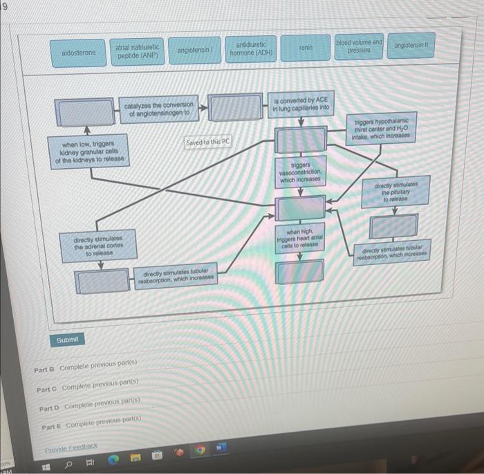 Solved Complete the Concept Map to describe the inportance | Chegg.com