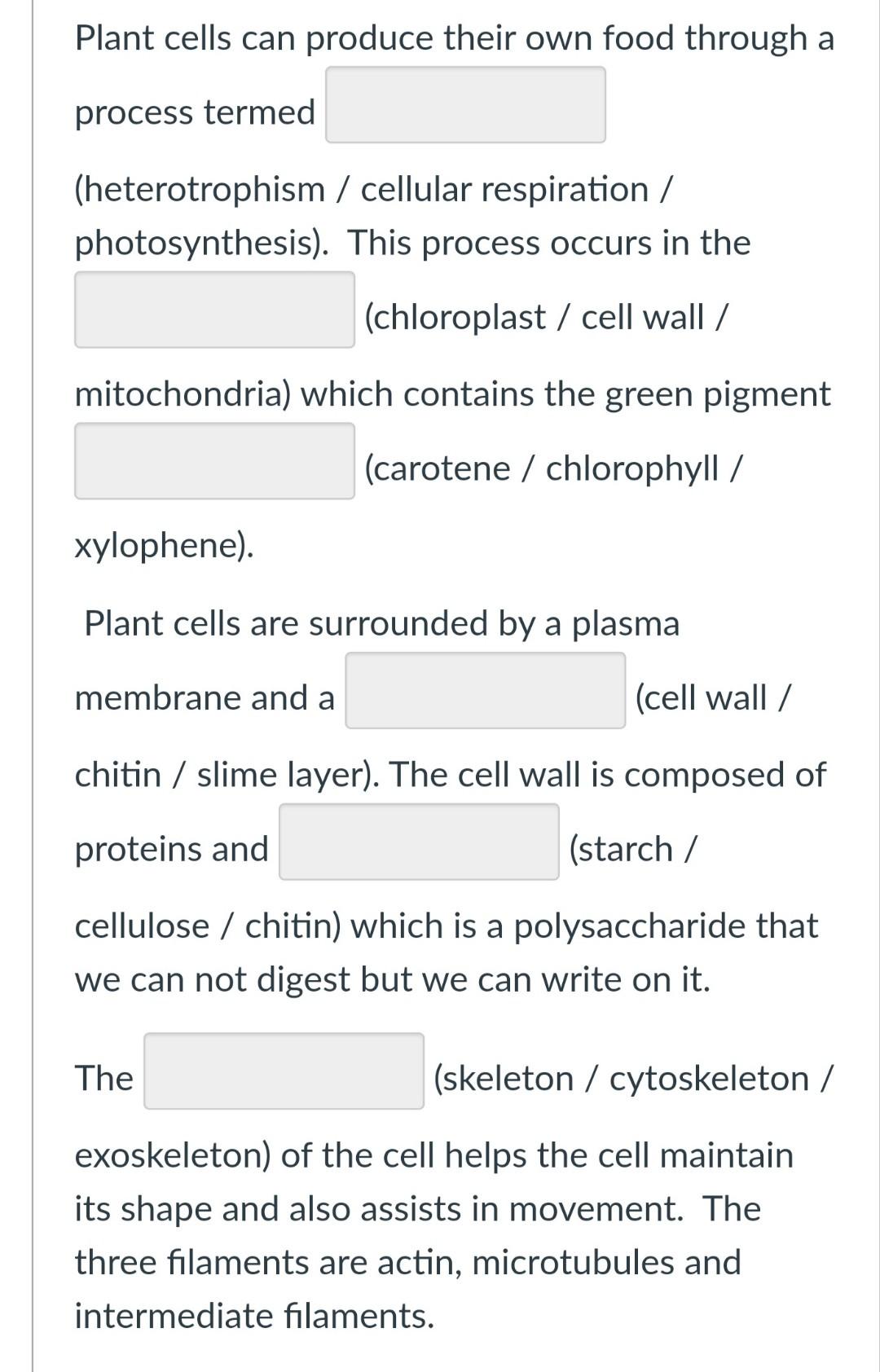 chlorophyll in a plant cell