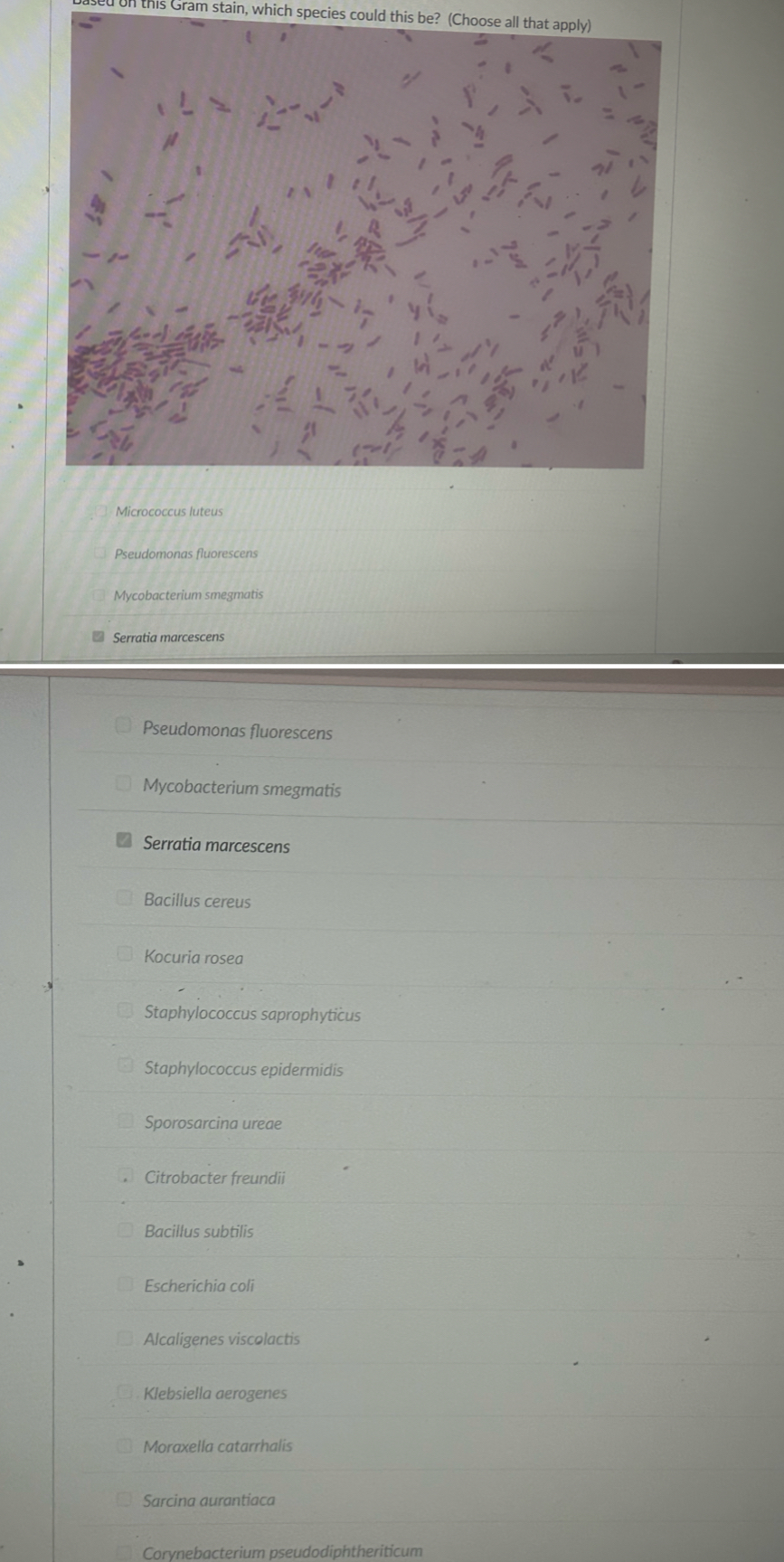 student submitted image, transcription available below