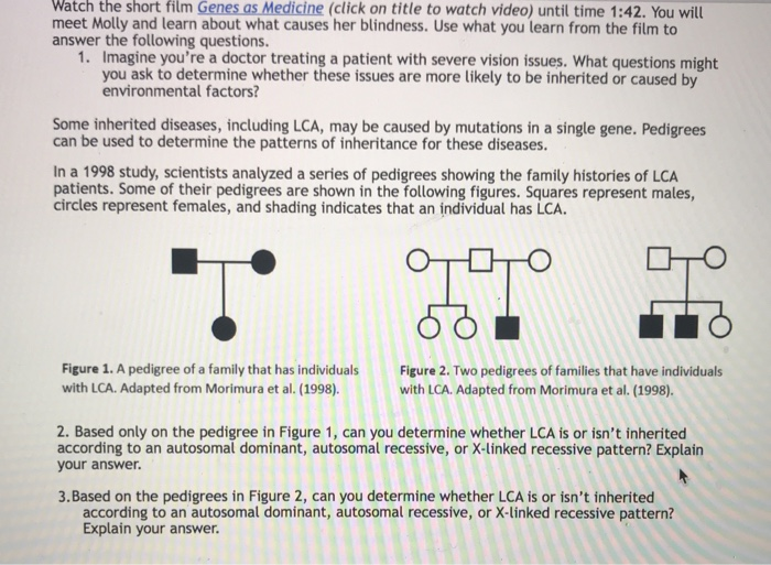 Solved Watch The Short Film Genes As Medicine Click On T Chegg Com