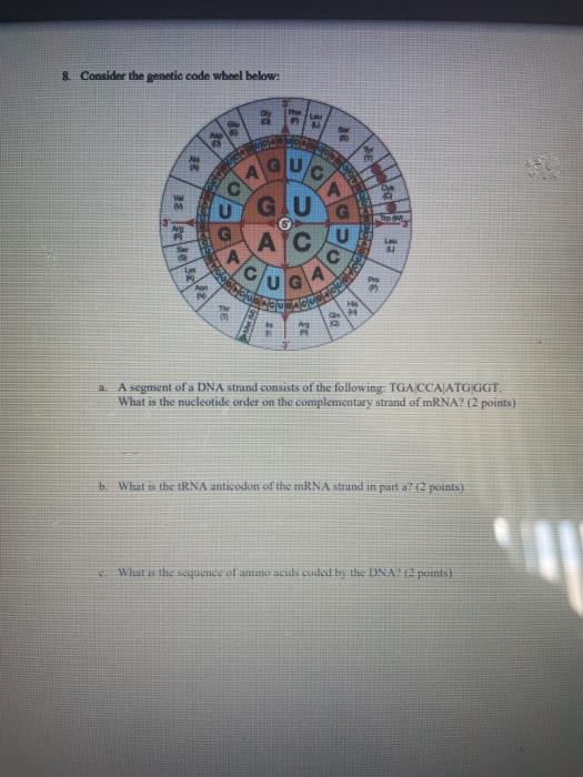 Solved 8. Consider the genetic code wheel below: 80 ar KA GU | Chegg.com