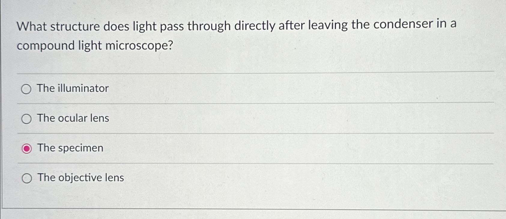 Solved What structure does light pass through directly after
