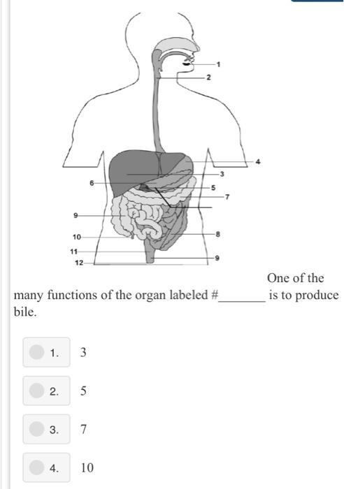 Solved The Following Are All Known As Accessory Organs, | Chegg.com