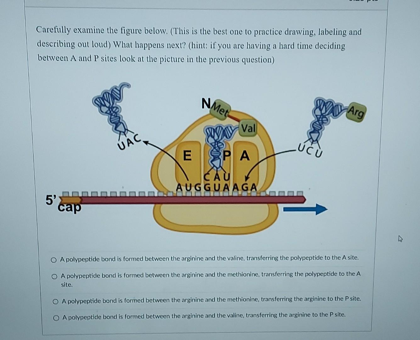 Solved Carefully examine the figure below. (This is the best | Chegg.com