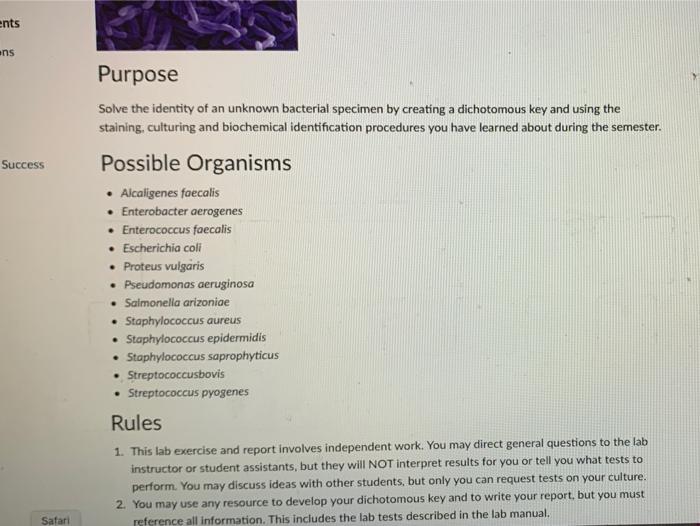 Solved I need help making a Dichotomous key using the | Chegg.com