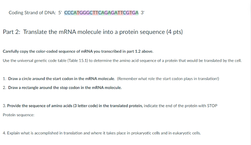 Solved Carefully copy the color-coded sequence of mRNA you | Chegg.com