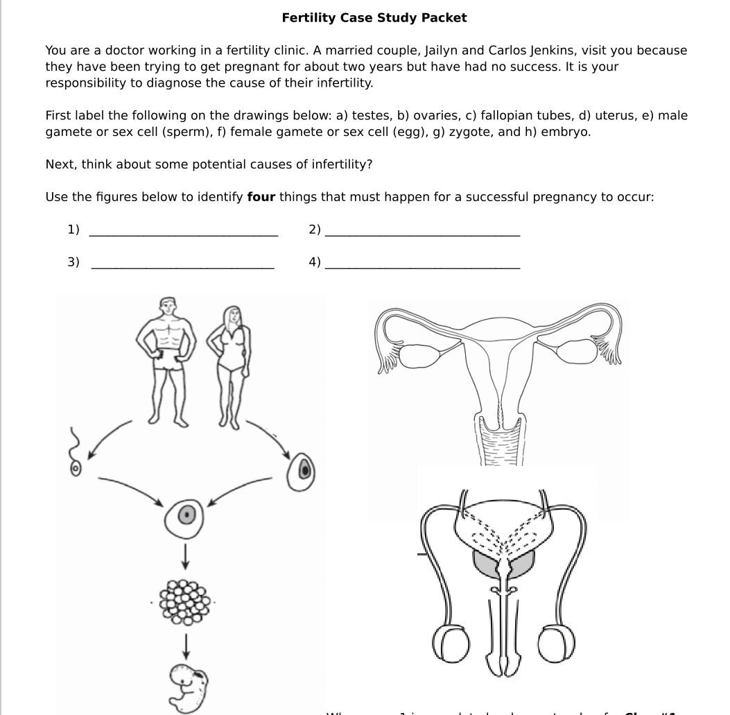 Solved Fertility Case Study Packet You are a doctor working | Chegg.com