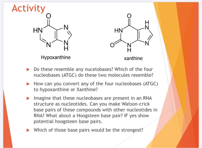 Solved Activity Hnyn Hn N N H Hypoxanthine Xanthine Do Th
