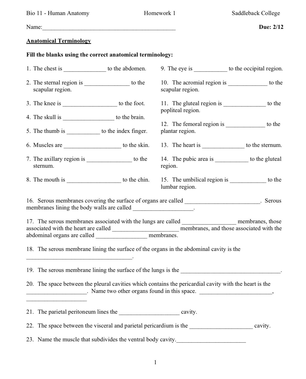 Solved Bio 11 - ﻿Human AnatomyHomework 1Saddleback | Chegg.com