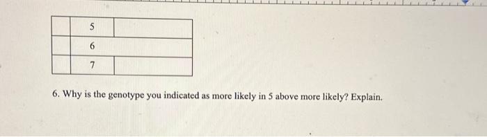 6. Why is the genotype you indicated as more likely in 5 above more likely? Explain.