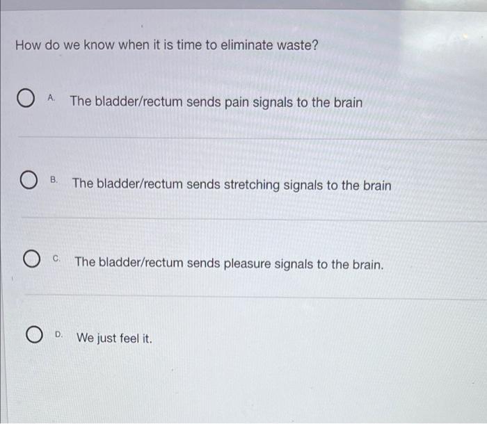 Solved Select the urinary structure that filters the blood