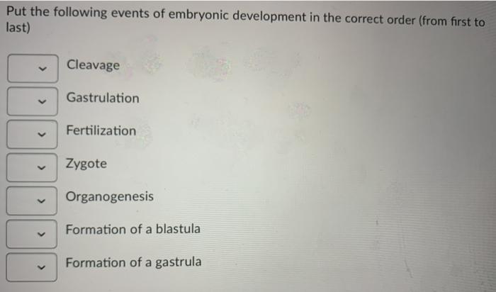 Solved Put the following events of embryonic development in | Chegg.com