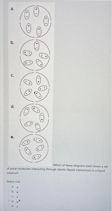 Solved Which Of These Diagrams Best Shows A Set Of Polar | Chegg.com