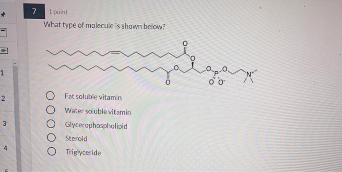 Solved 7 1 point What type of molecule is shown below? 1 Oo | Chegg.com