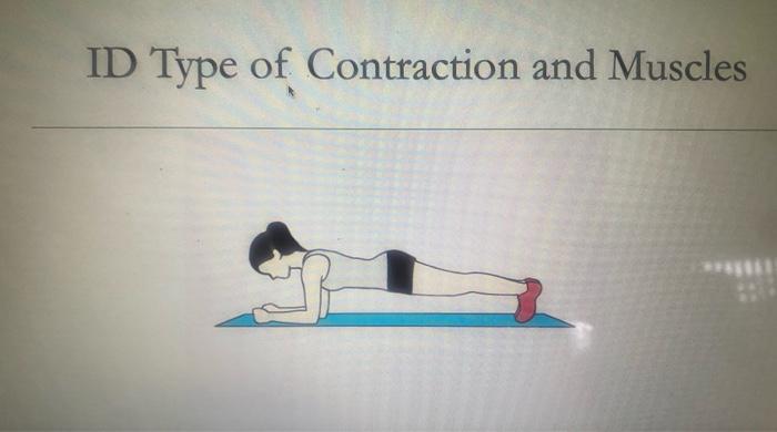 Solved ID Type of Contraction and Muscles ID Type of | Chegg.com