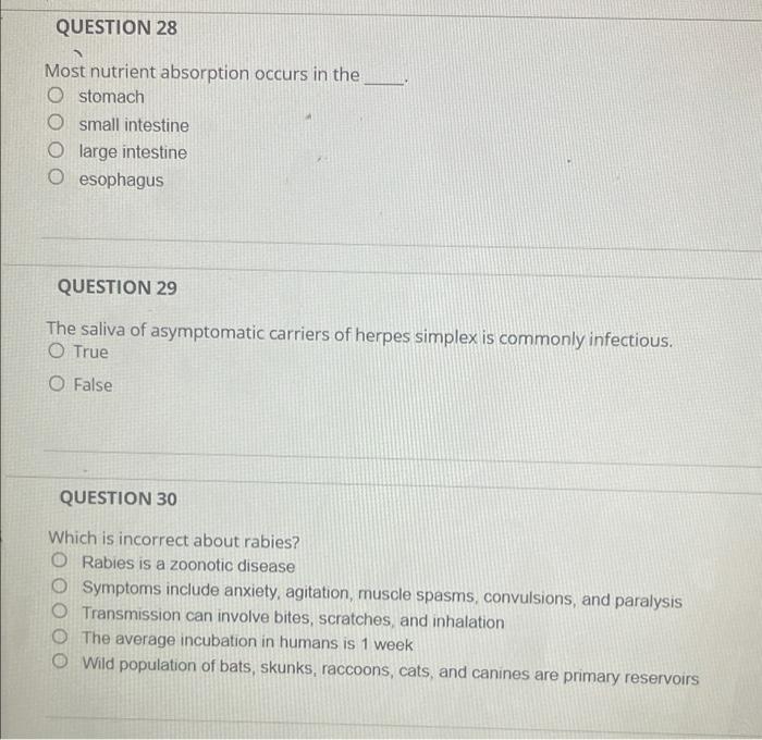 Solved QUESTION 22 Please Choose The Statement That Chegg