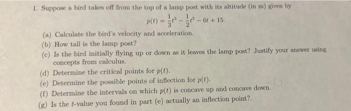 Solved p(t)=31t3−21t2−6t+15 (a) Calculate the bird's | Chegg.com