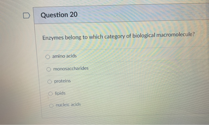 Solved Question 20 Enzymes belong to which category of | Chegg.com