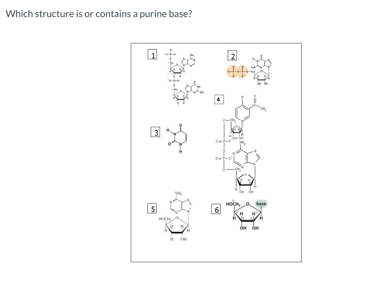 Which structure is or contains a purine base?123456