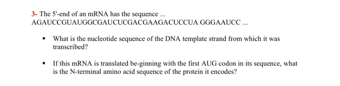 Solved 3- The 5'-end of an mRNA has the sequence ... | Chegg.com