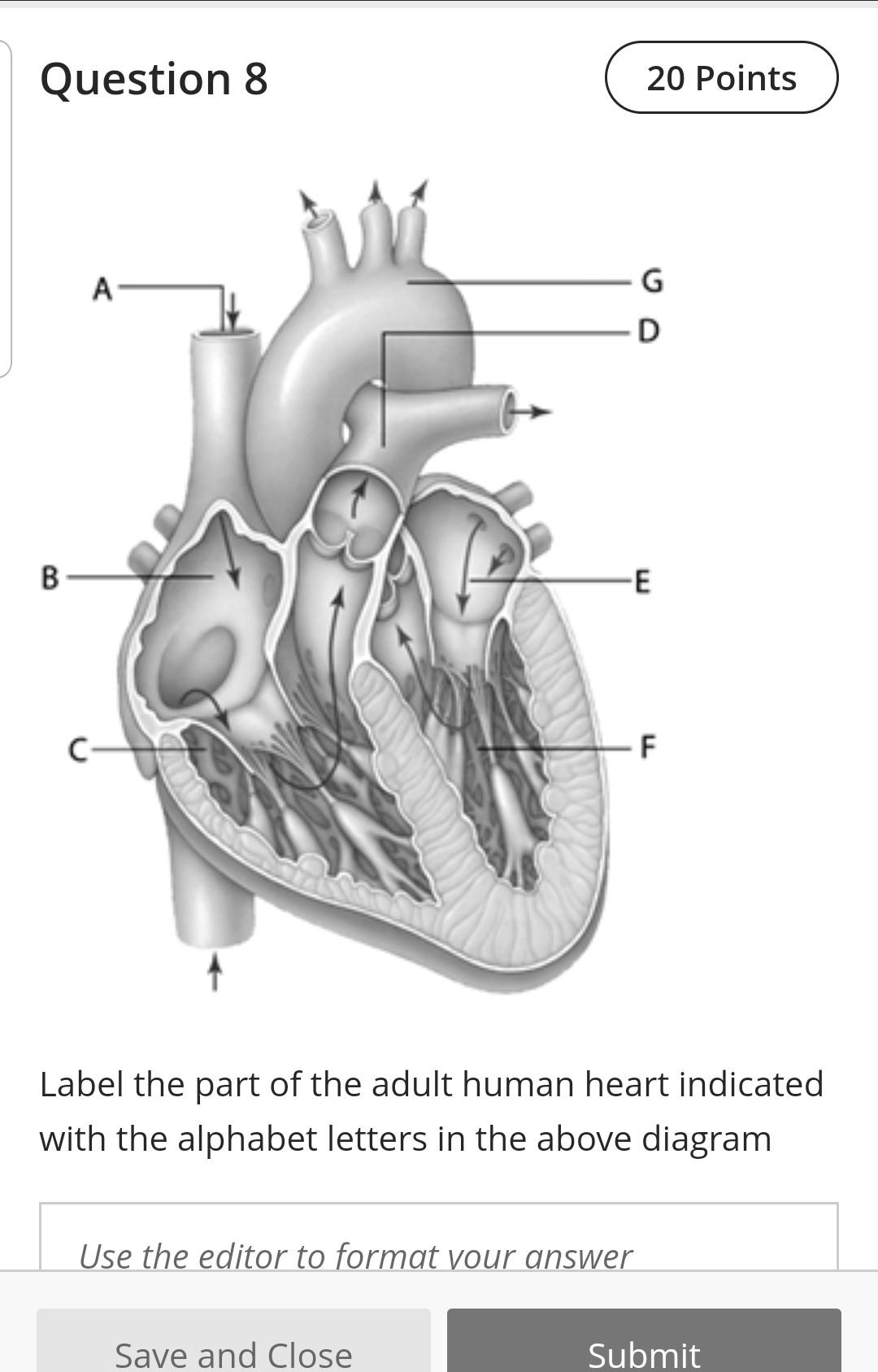 human heart diagram labeled black and white