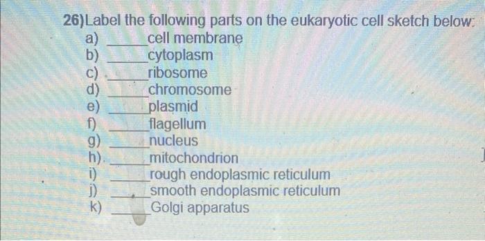 Solved 26) Label the following parts on the eukaryotic cell | Chegg.com