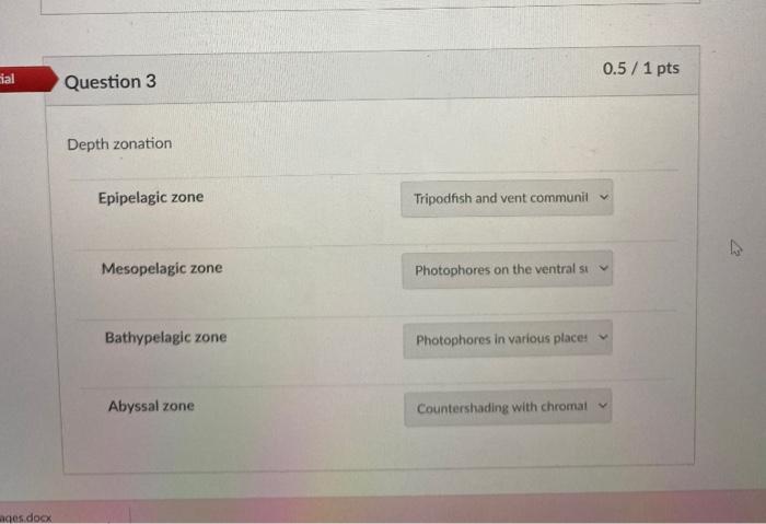 Solved Depth zonation Epipelagic zone Mesopelagic zone | Chegg.com