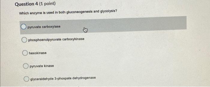 Solved Question 4 (1 point) Which enzyme is used in both | Chegg.com