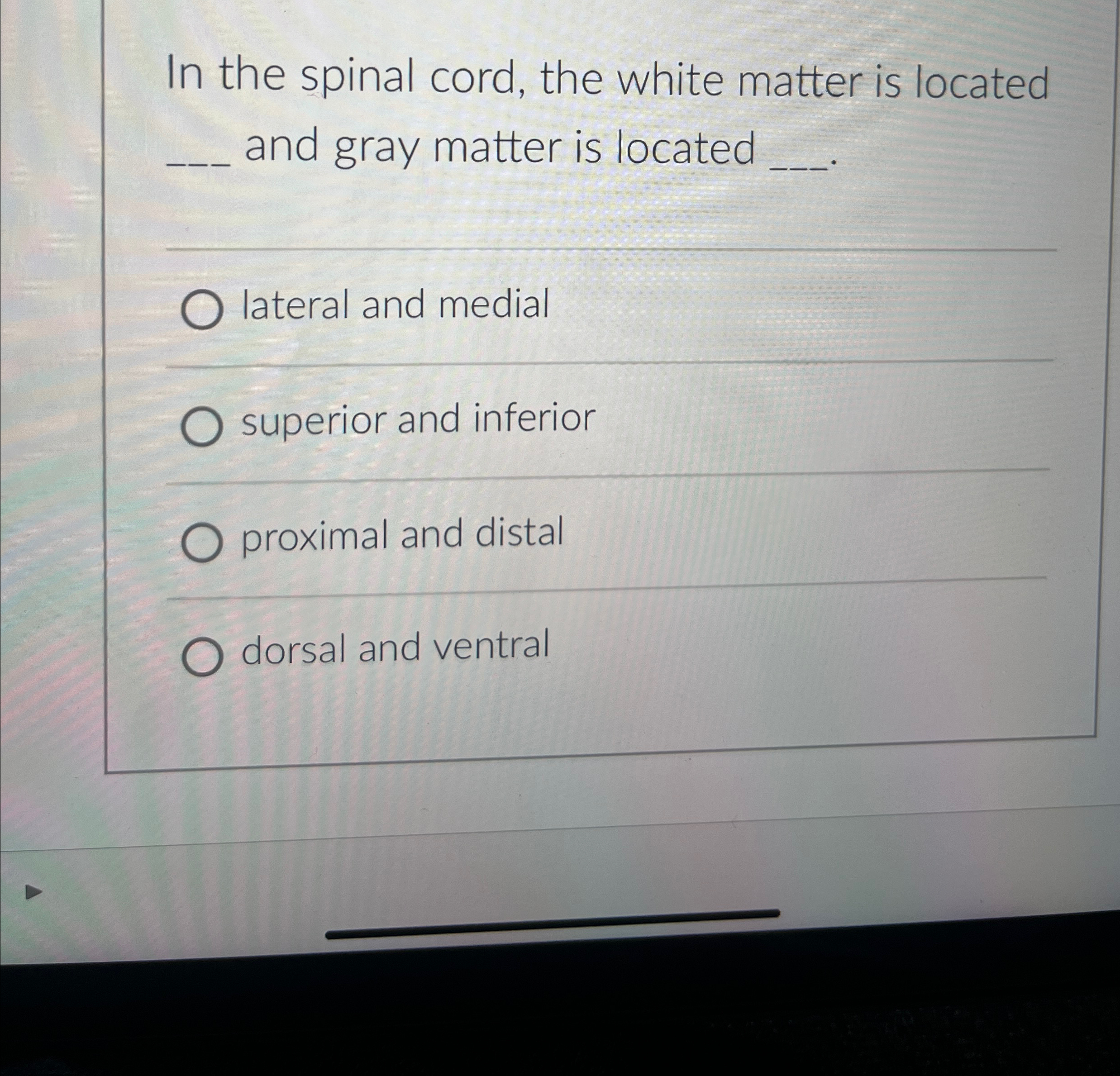 Solved In the spinal cord, the white matter is locatedq, | Chegg.com
