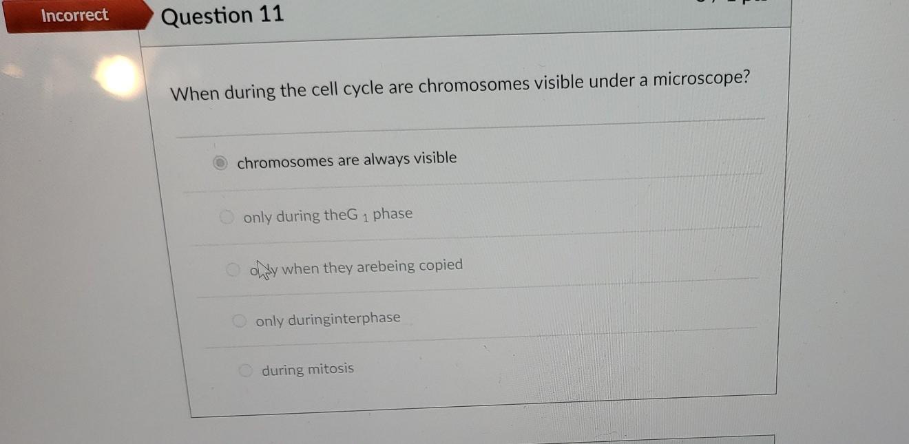 Solved Incorrect Question 11 When during the cell cycle are 