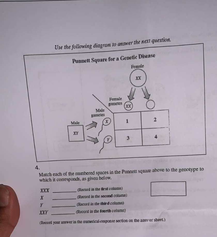 Solved Use the following diagram to answer the next | Chegg.com
