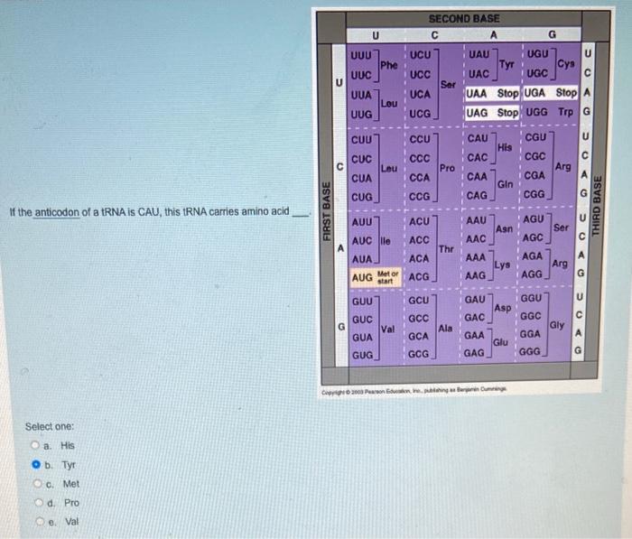 Solved Q#1 according the codon table shown, the codon cga | Chegg.com