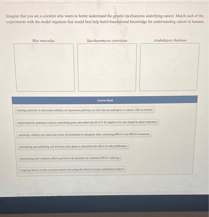 solved-imagine-that-you-are-a-scientist-who-wants-to-better-chegg