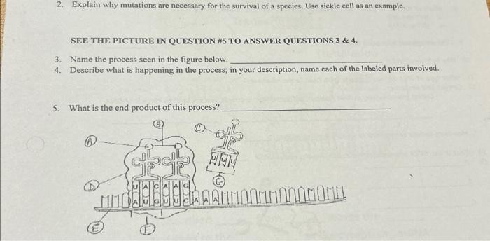 Solved 2. Explain why mutations are necessary for the | Chegg.com